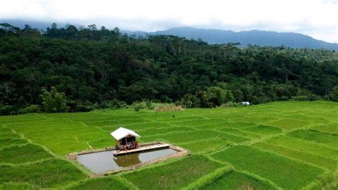 Desa Wisata Golo Loni Manggarai Timur Destinasi Wisata Strategis Di