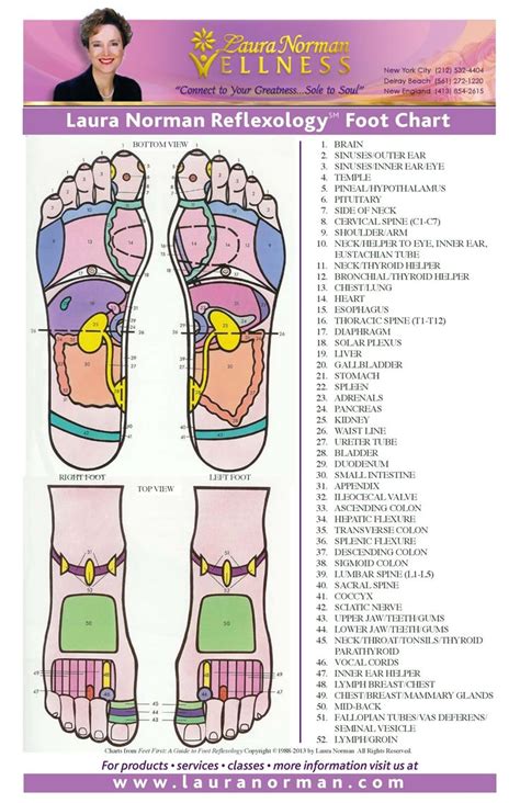 31 Printable Foot Reflexology Charts & Maps ᐅ TemplateLab | Reflexology foot chart, Reflexology ...