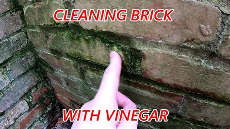 How To Clean Brick With Vinegar YouTube