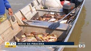 Bom Dia Tocantins Piracema Proibi O Da Pesca Come A Nesta Ter A