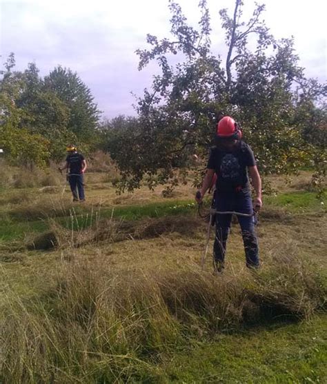 Bac Pro Gestion Des Milieux Naturels Et De La Faune