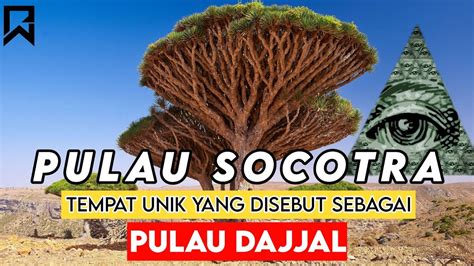 Di Manakah Socotra Pulau Unik Yang Disebut Warganet Sebagai Pulau