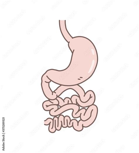 Vecteur Stock Stomach And Intestines Doodle Hand Drawn Vector