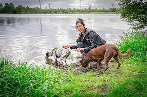 Vanaf Deze Zomer Mogen Honden Loslopen En Zwemmen Aan De Paalse Plas