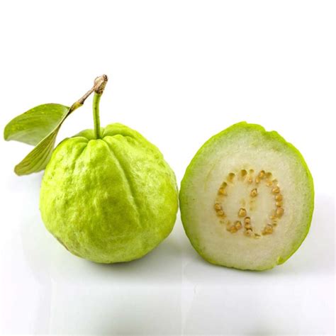 Guava - Thai Giant - Buy Plants Online | Pakistan Online Nursery