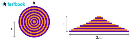 Area of a Circle Definition & Formula using Diameter & Circumference