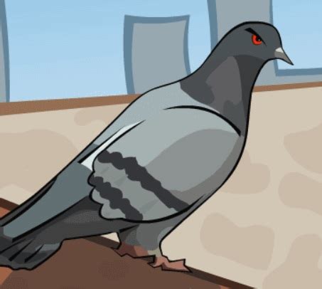 pigeon racing game winning pigeon racing  racing pigeons
