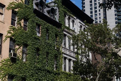 Row Of Beautiful Ivy Covered Residential Buildings On The Upper East