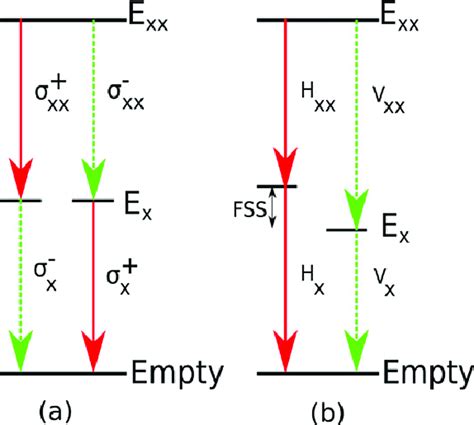 Schematic Illustration Of The Light Polarization Properties Of Photons Download Scientific