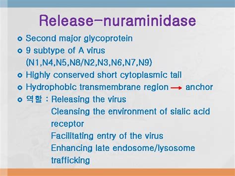 Orthomyxoviridae The viruses and their replication stages of