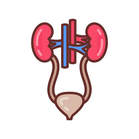 Urinary System Icon In Vector Logotype 35132287 Vector Art At Vecteezy