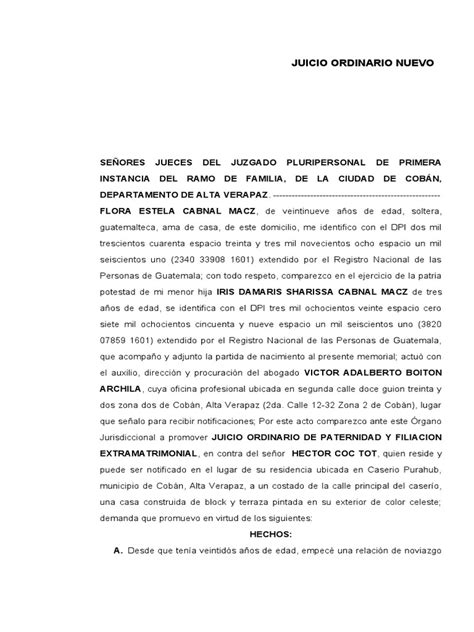 Memorial Demanda De Filiacion Y Paternidad Flora Estela Cabnal Macz Pdf Demanda Judicial