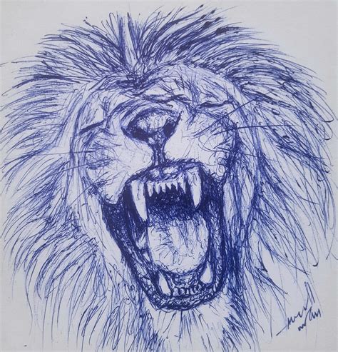 Lion Angry Drawing