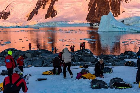 The Ultimate Guide To Camping In Antarctica 2024 NOMADasaurus