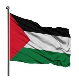 Flag - National - 900mm x 600mm - Palestine | Shop Today. Get it Tomorrow! | takealot.com