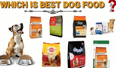 High Protein Dog Food Brands to Feed Your Pitbull Puppy