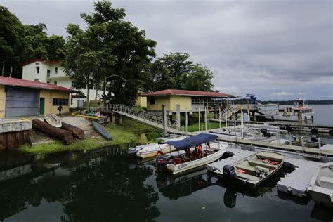 Barro Colorado la isla laboratorio en el Canal de Panamá que estudia