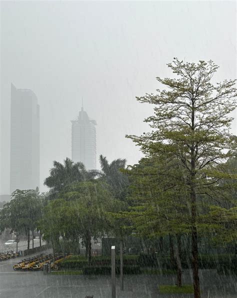 北上注意︱深圳多区暴雨黄色预警生效，全市进入暴雨戒备状态 星岛环球网