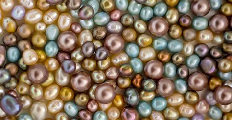 Understanding Pearl Colors: How Do Oysters Make Colored Pearls?