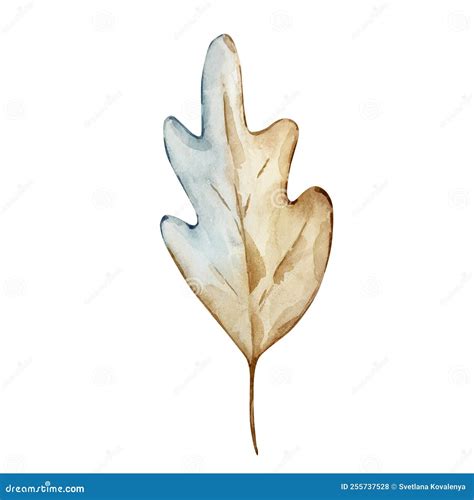 Watercolor Illustration of Autumn Oak Leaf Stock Vector - Illustration