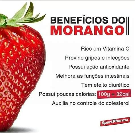 Curiosidades Sobre O Morango E Fatos Interessantes Mundo Ecologia