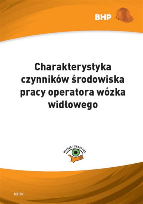 Charakterystyka Czynnik W Rodowiska Pracy Operatora W Zka Wid Owego