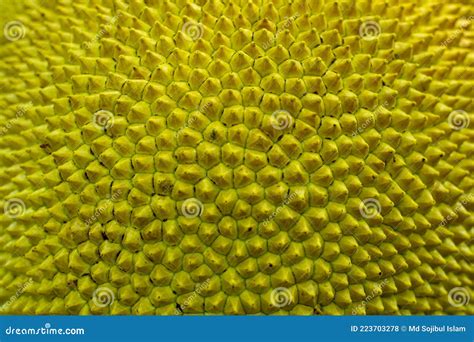 Jackfruit Thorn Surface Blur Texture Background Stock Photo