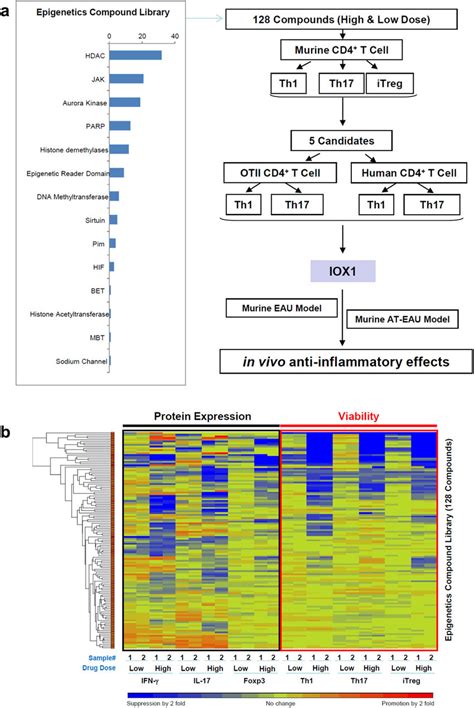 Screening Of A Epigenetics Compound Library For Anti Inflammatory