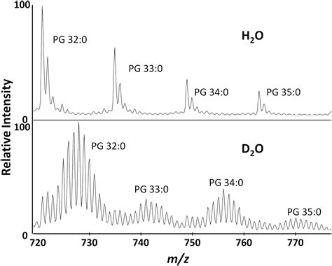 Rapid Detection Of Antimicrobial Resistance In Methicillin Resistant