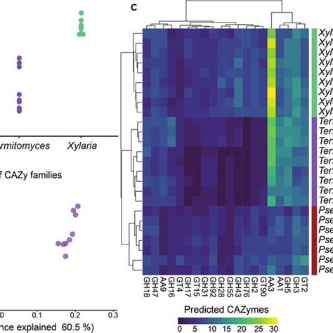 Comparison Of Carbohydrate Active Enzymes Cazymes In Xylaria