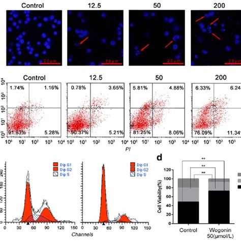 Wogonin Induces The Apoptosis Of Raji Cells Arrested At G1 Phase A