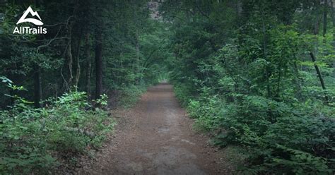 10 Best trail running trails in Chesapeake | AllTrails