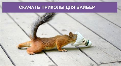 Прикольные картинки на телефон скачать