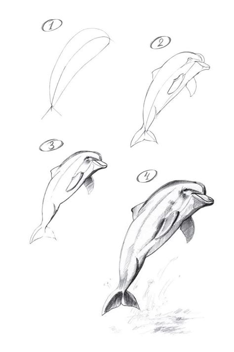 How to draw a dolphin with a pencil step-by-step drawing tutorial ...