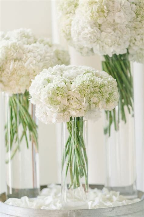 ️ 100 Beautiful Hydrangeas Wedding Ideas Hi Miss Puff