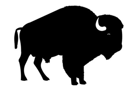 Download High Quality buffalo clipart silhouette Transparent PNG Images ...