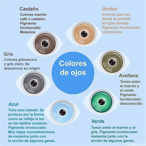 Tipos De Colores Primarios Y Del Círculo Cromático Que Pueden Ver El Ojo