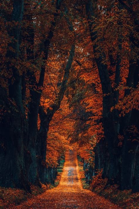 Very magical autumn look : r/Autumn