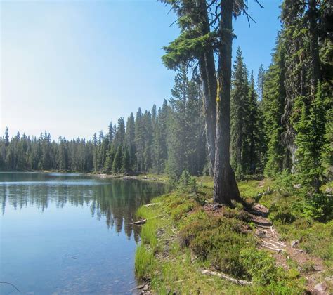 Puck Lake Nannie Creek Trail Sky Lakes Wilderness A Photo On