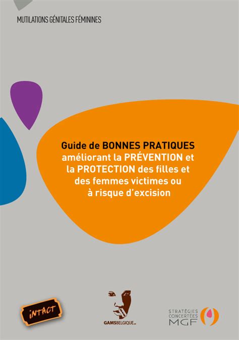 Guide De Bonnes Pratiques Stratégies Concertées De Lutte Contre Les