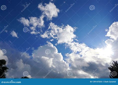 Tree Silhouette On Blue Sky And Cloud Background Beautiful Nature Blue