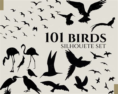 Birds Silhouette Set Bird Svg, Bird Silhouette, Flock of Birds, Swan Silhouette, Parrot Svg ...