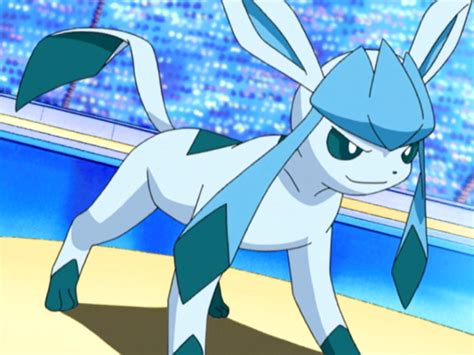 Mays Glaceon Bulbapedia The Community Driven Pokémon Encyclopedia