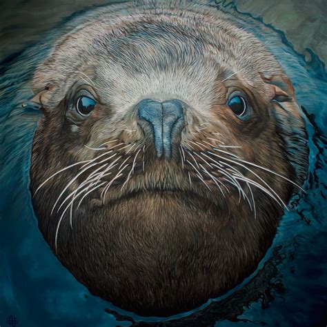 Steller Sea Lion - Nayartist