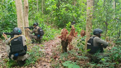 Brimob Bone Gelar Latihan Jungle Warfare Salah Satu Cara Asah Kemampuan