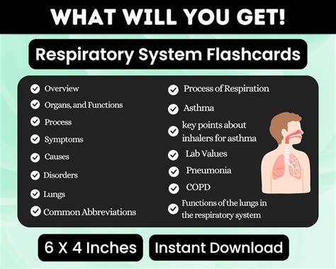 15 Respiratory System Flashcards Printable Respiratory Etsy