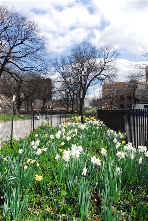 Marcus Garvey Park : NYC Parks