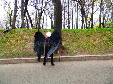 Cosplayer Girl In Anime Demon Costume With Huge Wings Stock Image ...