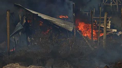 Waldbrände in Chile Mehr als 50 Tote oe24 tv