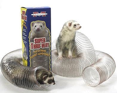 Mine love this! They play in it everyday Ferret Toys, Baby Ferrets ...